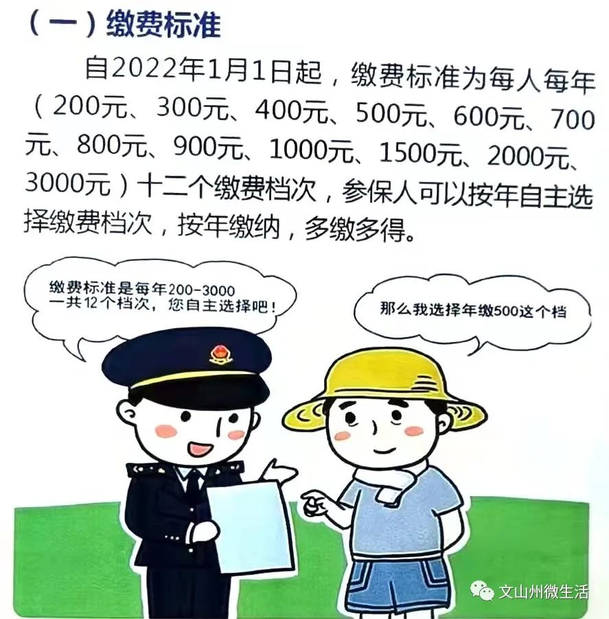 如何缴纳200元社保费用以确保社会保障权益