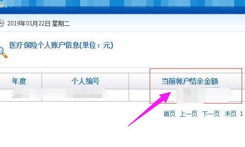 嘉兴怎么查医保余额明细