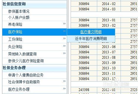 嘉兴怎么查医保余额明细