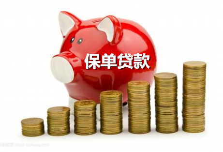 贷款公司保险怎么办？