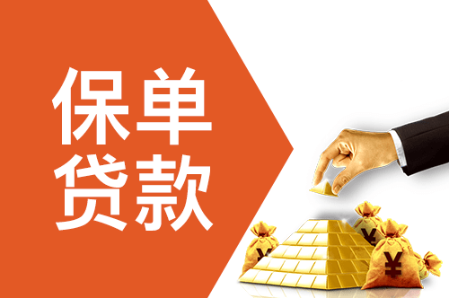 贷款公司保险怎么办？