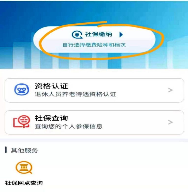 如何查看缴纳社保的单位，详细指南与步骤