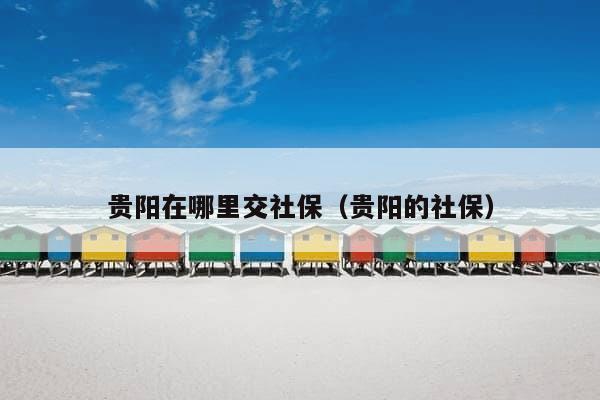 在贵阳怎么交散户社保？