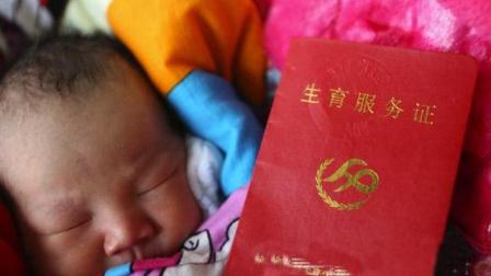 生育保险报销全攻略，详细步骤与注意事项