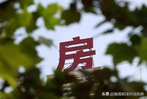 女性贷款原因解析，为何越来越多的女性选择贷款
