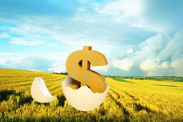 农民如何成功获得农业贷款，实用指南