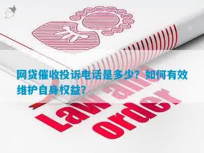 网上贷款公司投诉指南，如何有效维护自己的权益