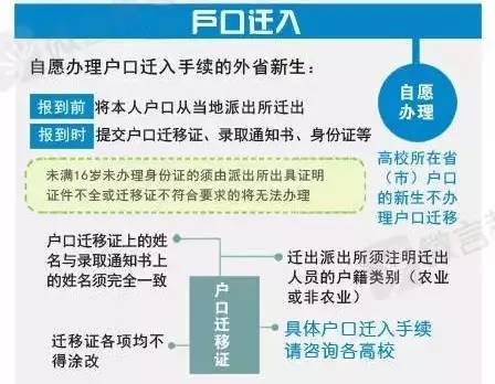 国家贷款买社保，详细指南与申请流程