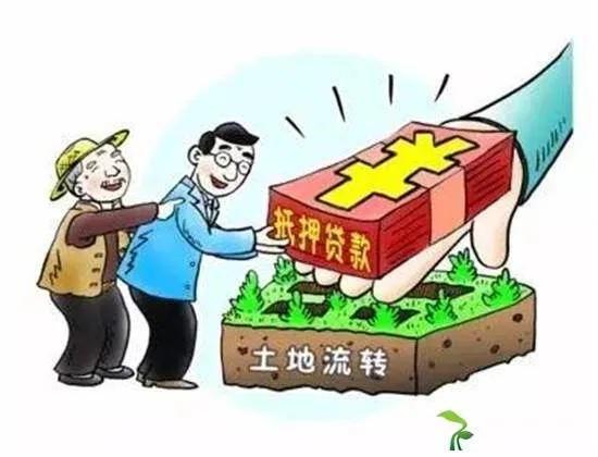 农村贷款使用难题，原因分析及解决方案