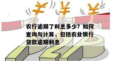 农行贷款利息怎么算的？——详解中国农业银行贷款利息计算方法与注意事项