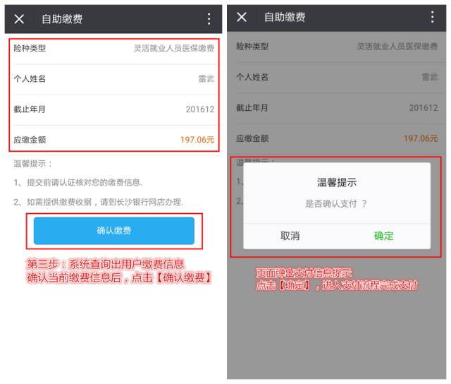 如何查询社保贷款还款情况？详细步骤解析