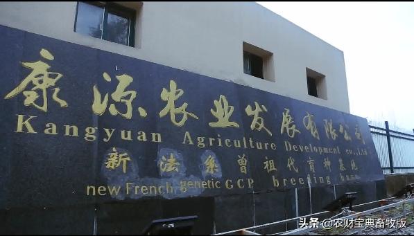 贷款不还法院判决怎么执行，详细指南