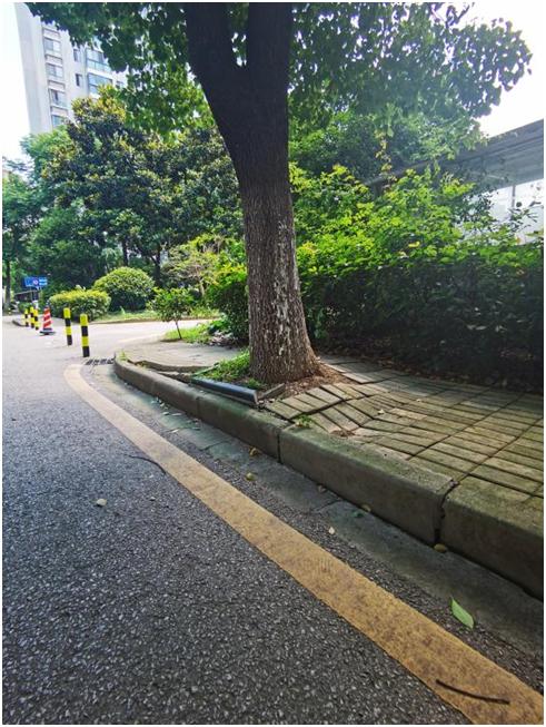 如何通过电话协商解决阳光贷款问题