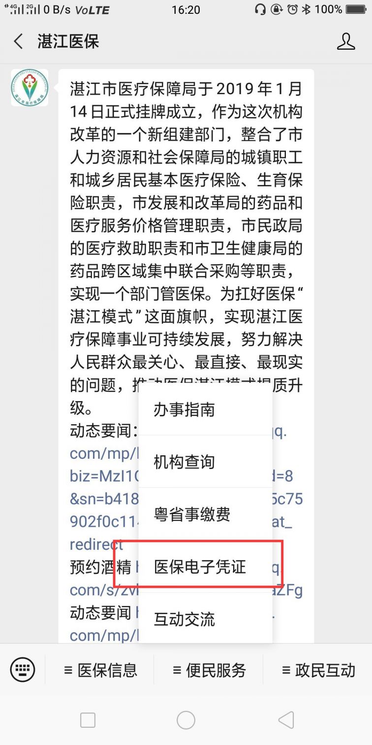 如何查询湛江医保余额明细