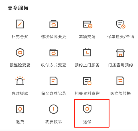 淘宝保险费退还流程详解，如何申请退保及注意事项