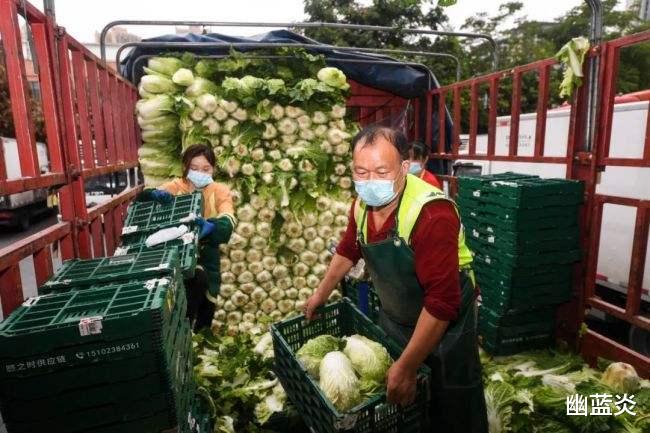 蔬菜运输保险全攻略