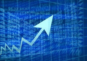 跑金融贷款业务全攻略，实战策略与案例分析