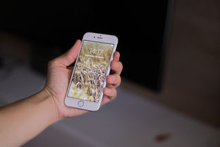 美团月付额度提现商家，苹果15 Pro Max美团月付临时额度如何使用？